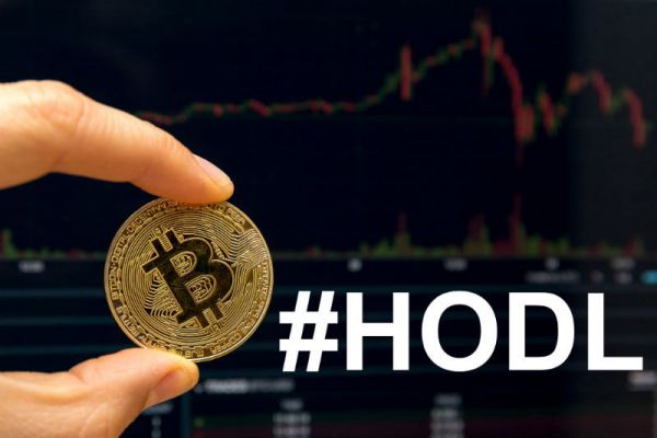 Hold Coin là gì? So sánh chi tiết giữa Hold và Trade