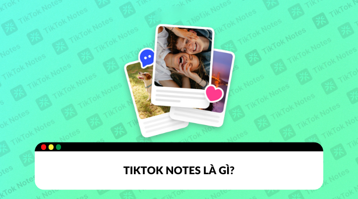 Tiktok Notes Instagram & Pinterest - Đâu là nền tảng cho content creator?