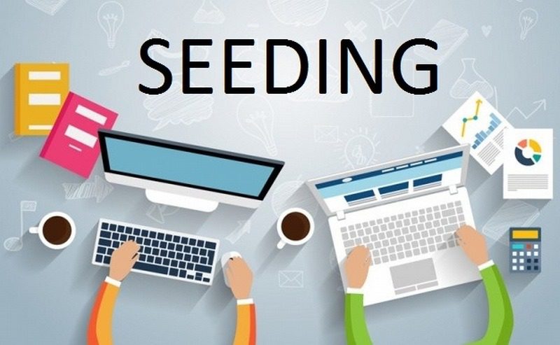 Content Seeding là gì? Sử dụng content seeding sao cho hiệu quả?