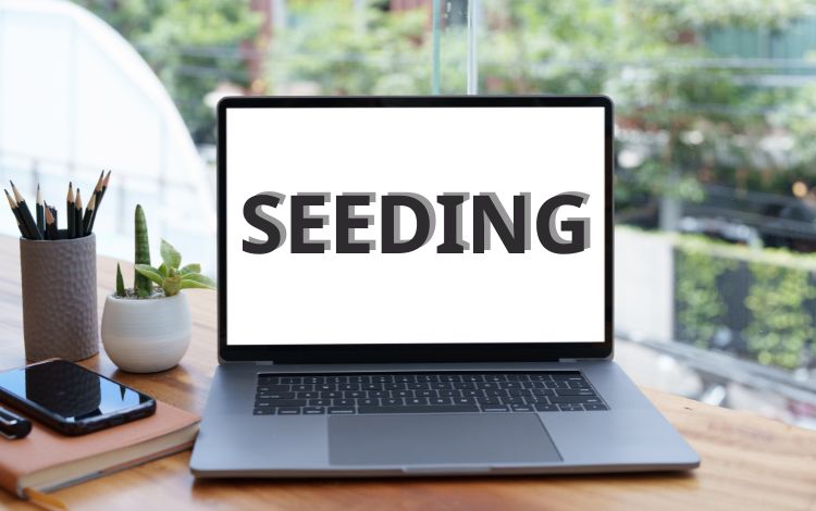 Content Seeding là gì? Sử dụng content seeding sao cho hiệu quả?